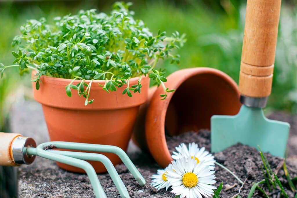 Outils potager